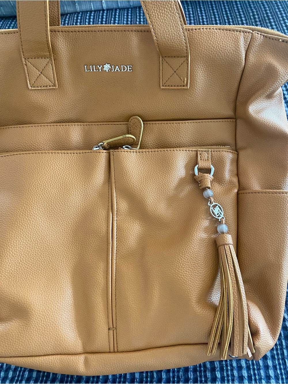 Lily Jade Caroline Bag